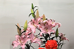 Resize of IMG_7232.JPG